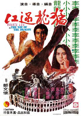 《姐夫的独宠》海报